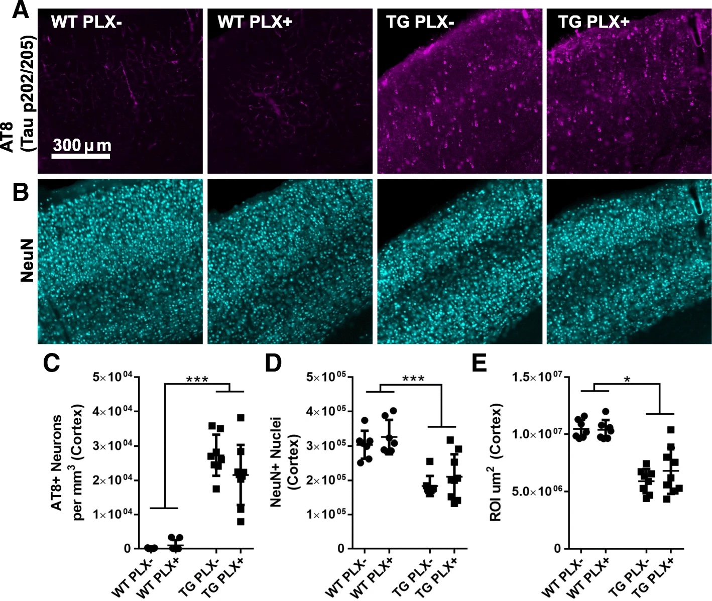 JNeuroinflamm_2018.jpeg