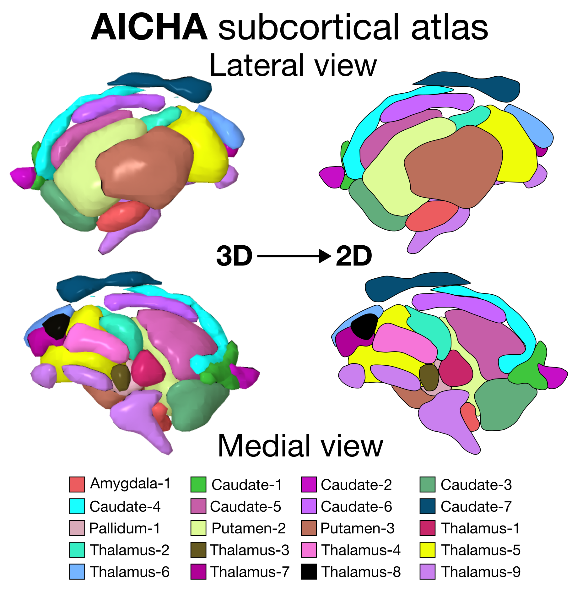 AICHA subcortical atlas