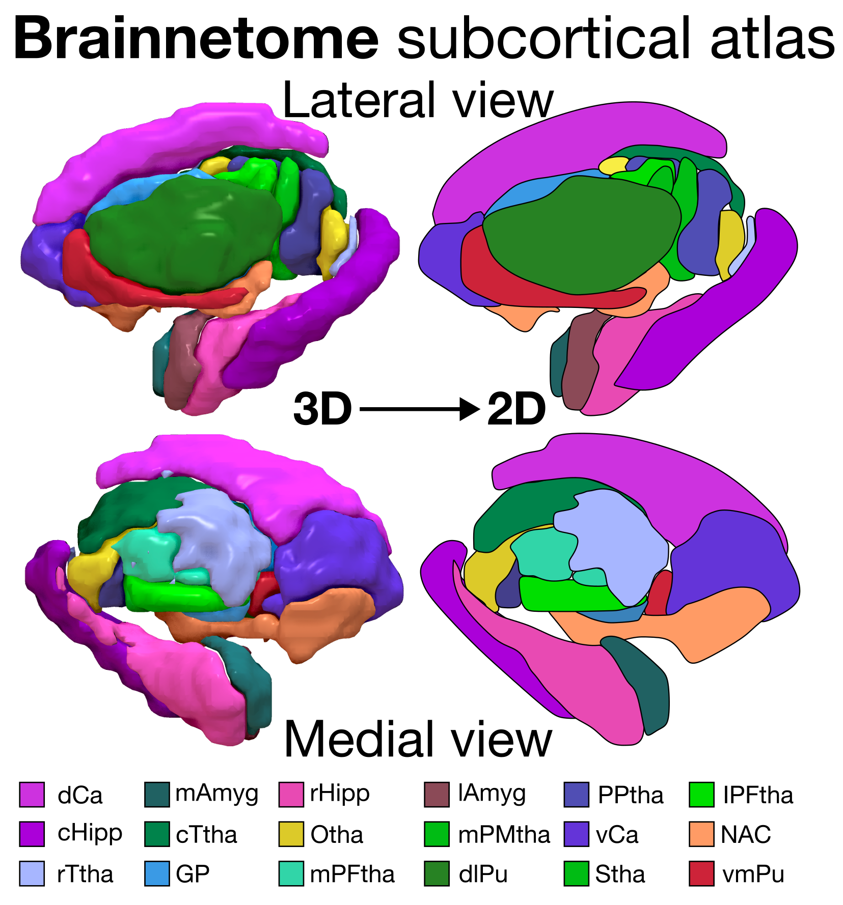 Brainnetome subcortical atlas