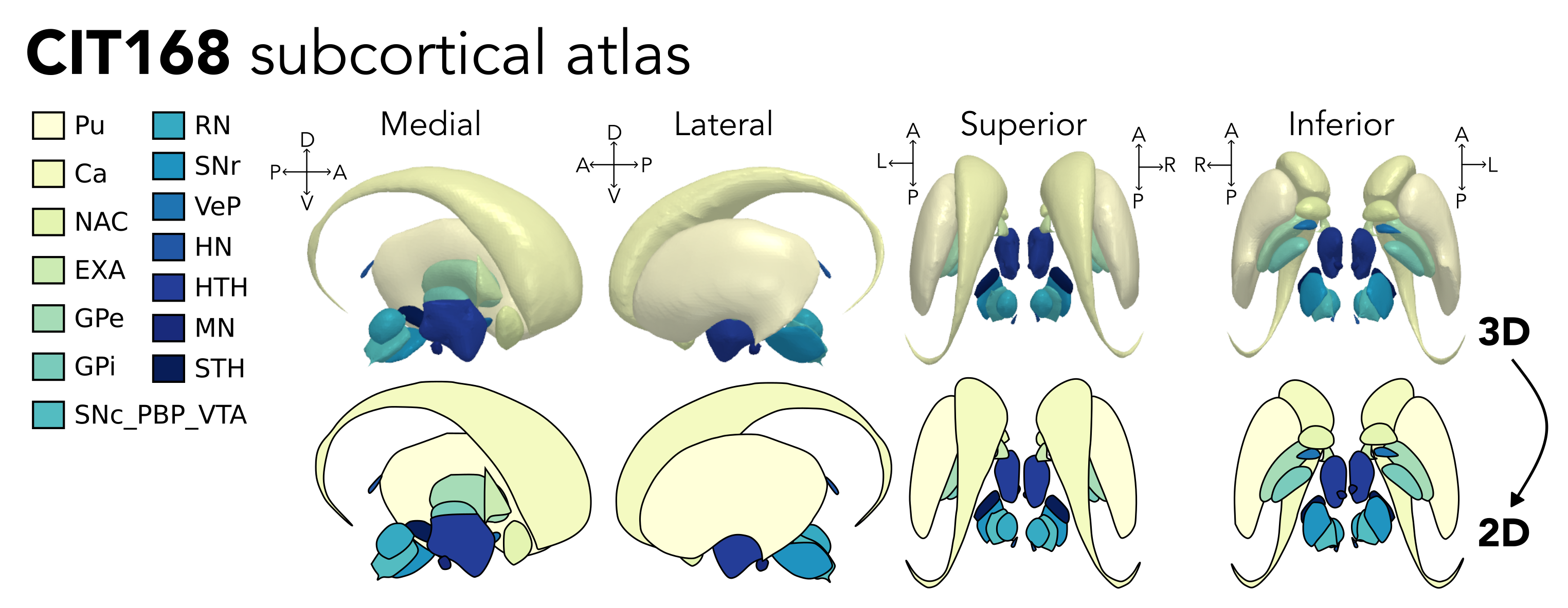 CIT168 subcortical atlas information